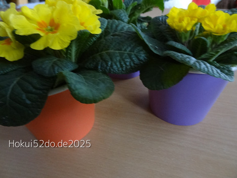 oBazOakZDiJ8T9G1736242901_1736242917