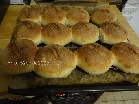 fsxnn5Y8lZbjCr31757045831_1757045849