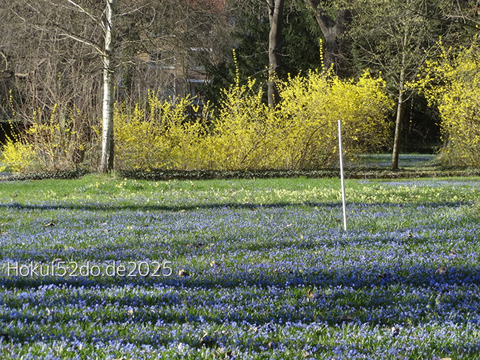 nONExsvHRi8r9oL1744537349_1744537370