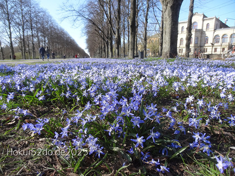 SWPBonvJzvYdlPc1744536674_1744536695