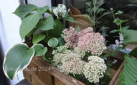 NEkFAG8uaRYGlfV1728022826_1728022842