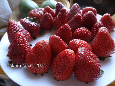 CpUsHKWFuZpl27x1744359784_1744359808