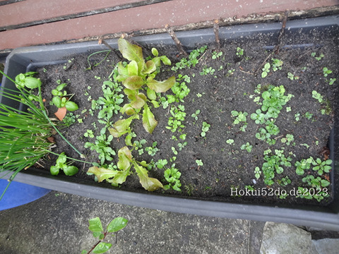 QZyAjpt5iSohg0s1683448529_1683448607