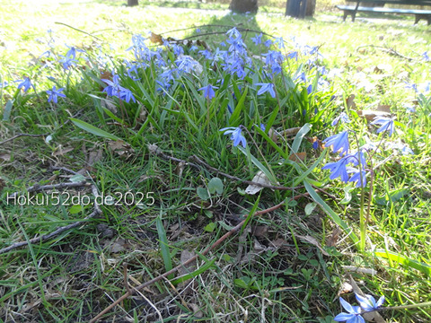 mD2zfPh9iMI8tpC1744536770_1744536810