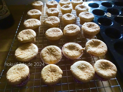 3impj9G1fdw6LX91729532735_1729532748