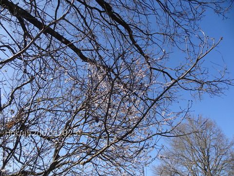 gfXrwqrHabGXrsi1743230946_1743230981