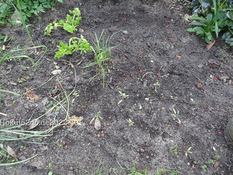 yBmk3GObHmMExaz1682922200_1682922225