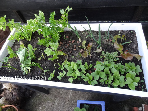 d8zLRnPatYlWy061682922466_1682922587