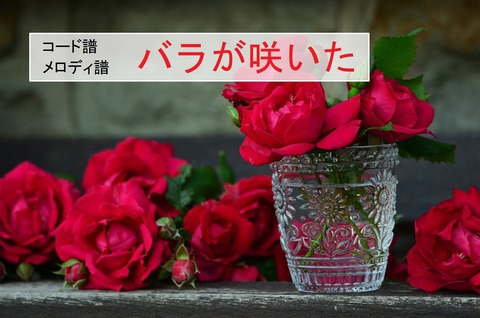 バラが咲いた