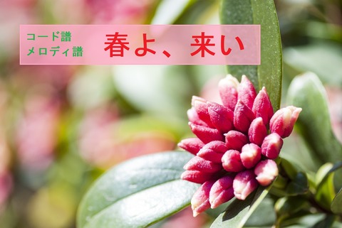 春よ、来い