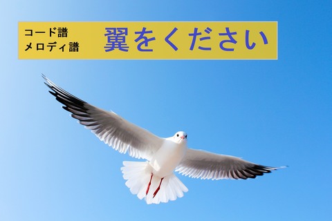 翼をください(キャッチ)