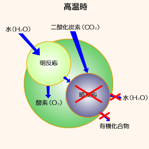 060507-2