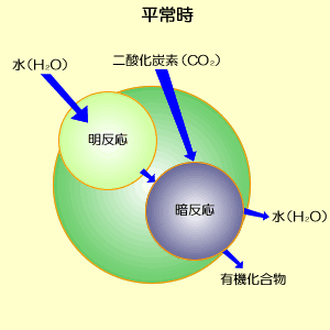 060507-1