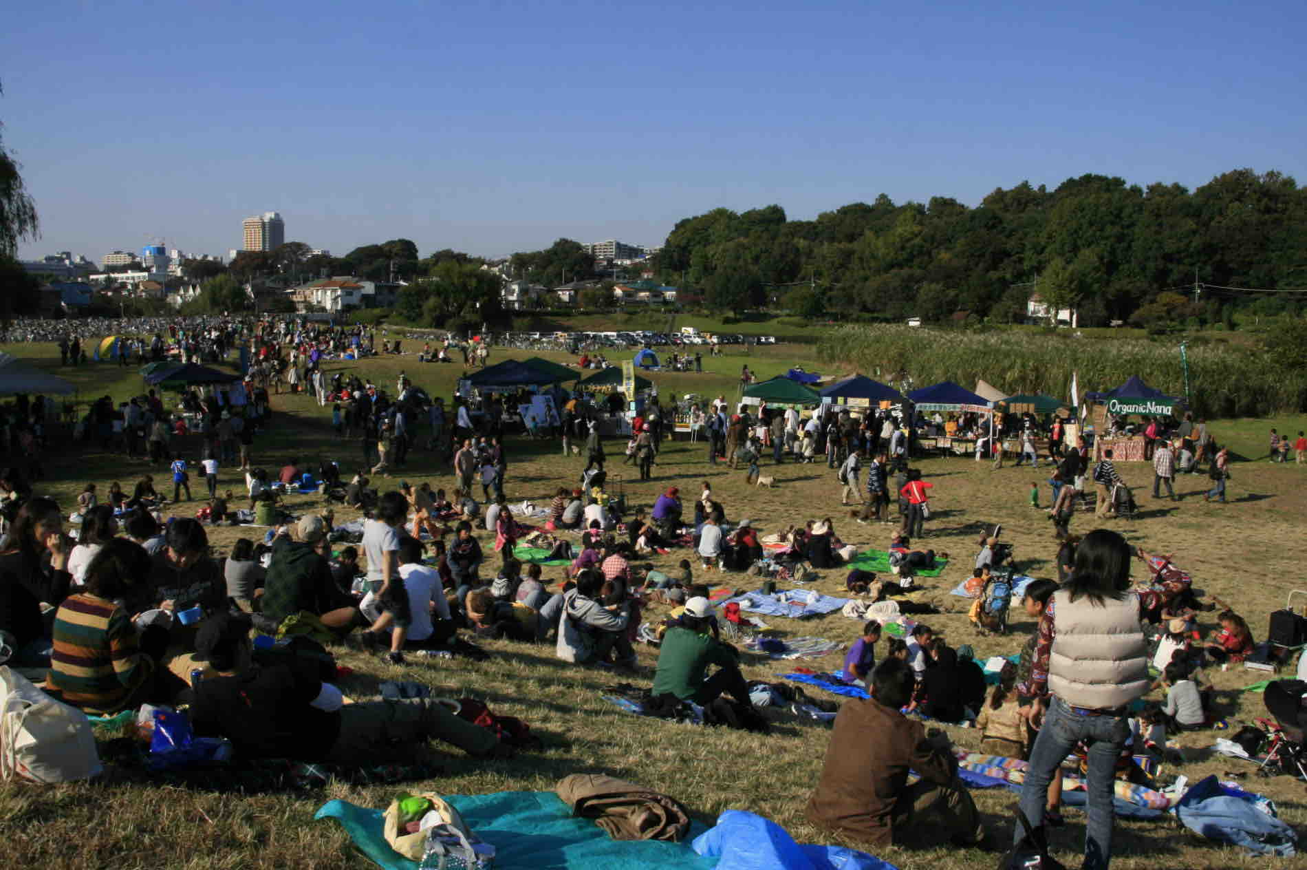 オーガニック 野外フェス はらっぱ祭り に出演します よねっちマンドリン風来坊 オーガニック 野外フェス はらっぱ祭り に出演します よねっちマンドリン風来坊