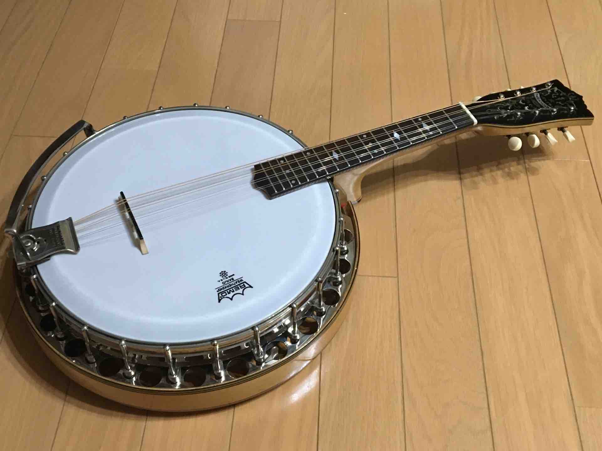 出会ってしまったのです♬ : マンドリン風来坊よねっち