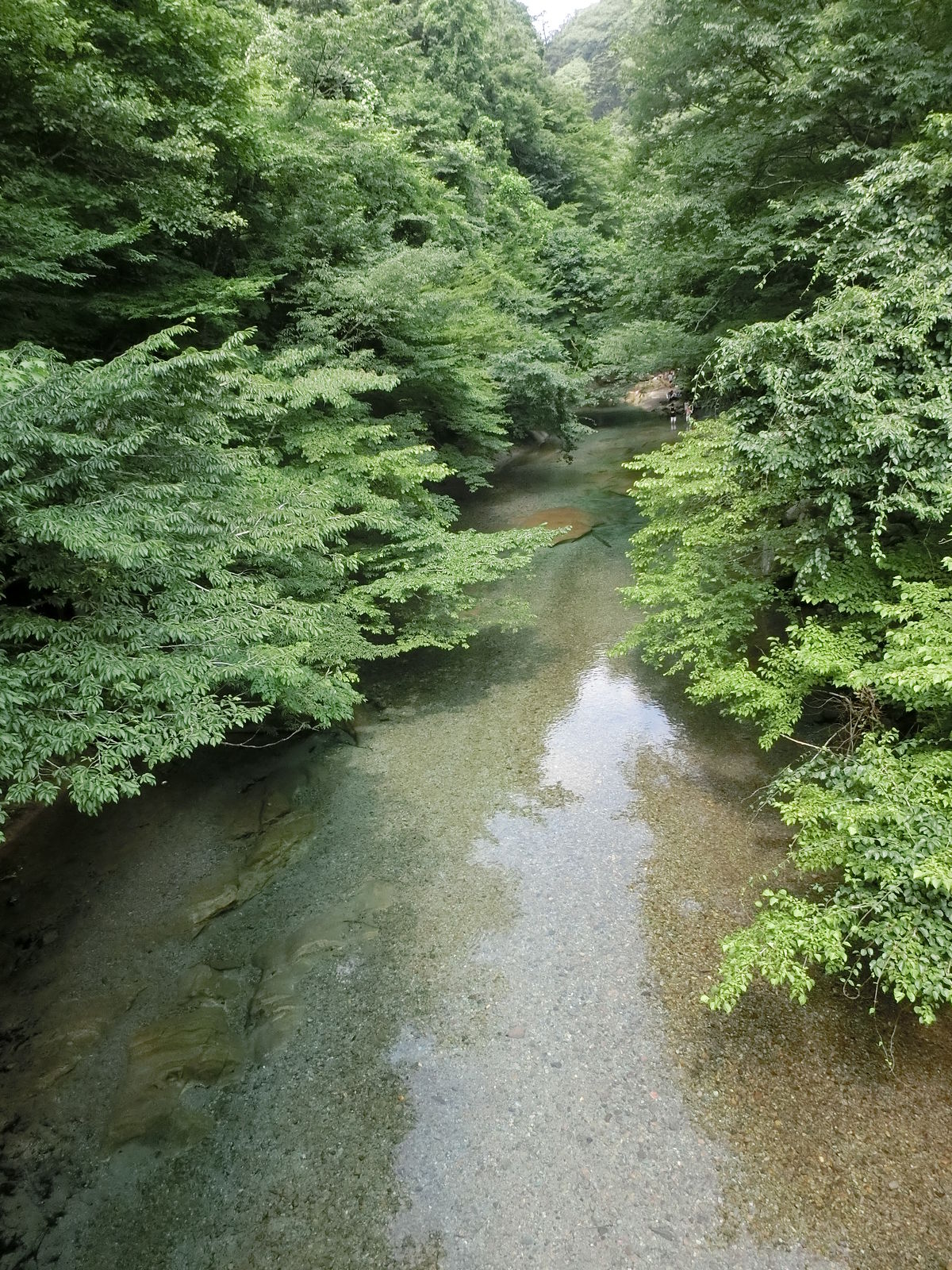 那須 川遊び 木の俣園地 北側 よねっちマンドリン風来坊