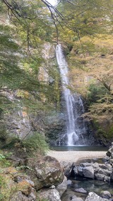 S__476880906