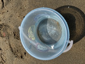 IMG_5515