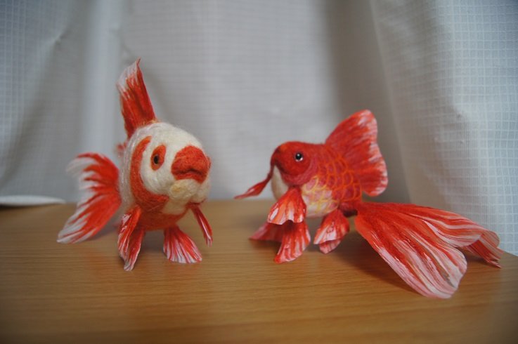 金魚 うちのねこ