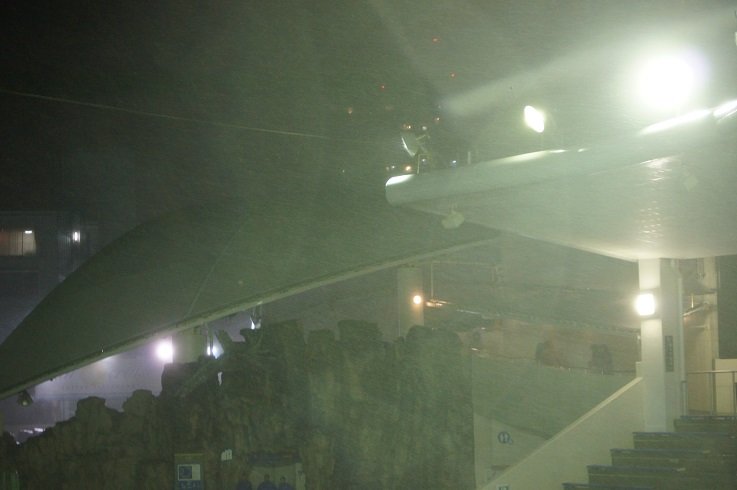 鴨川シーワールドに行ってきました In クリスマス14 うちのねこ