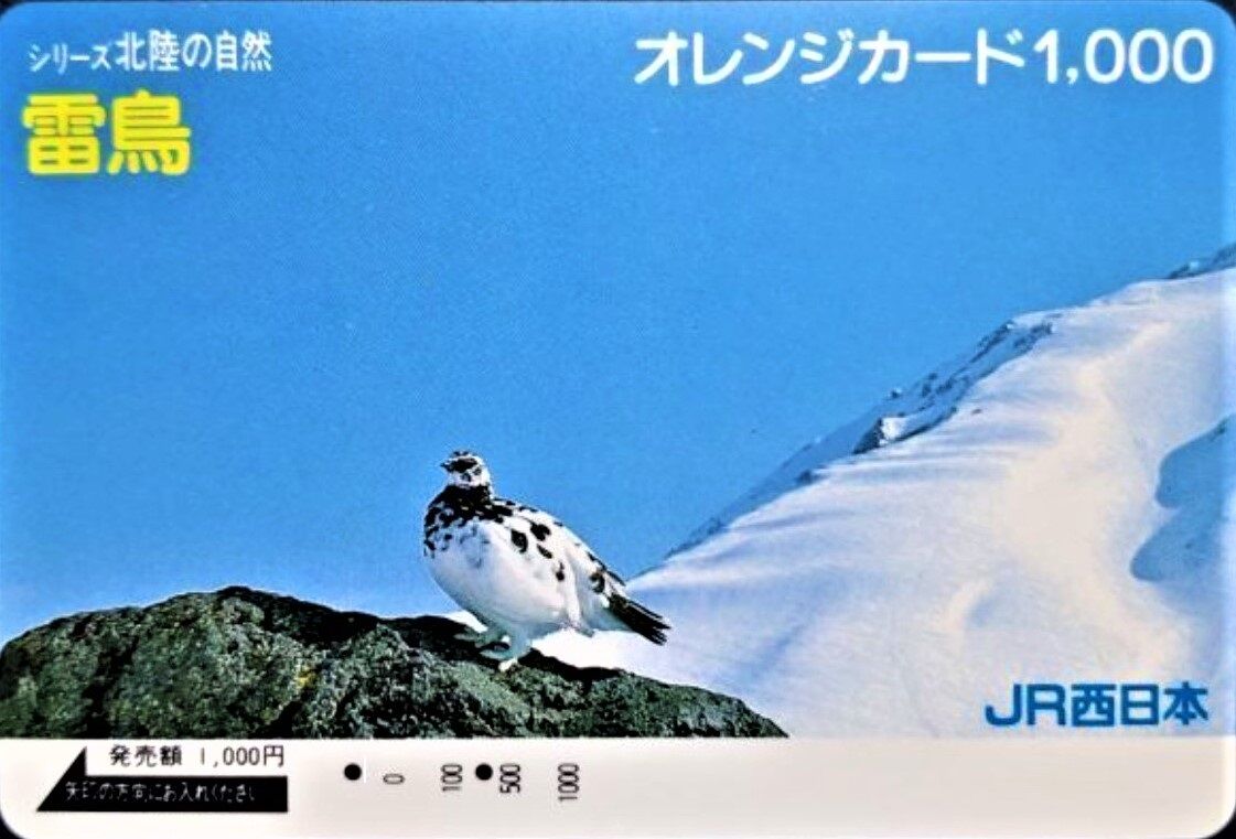 思い出のスナップ・485系 特急「雷鳥」号 ～上沼垂色 1500番台