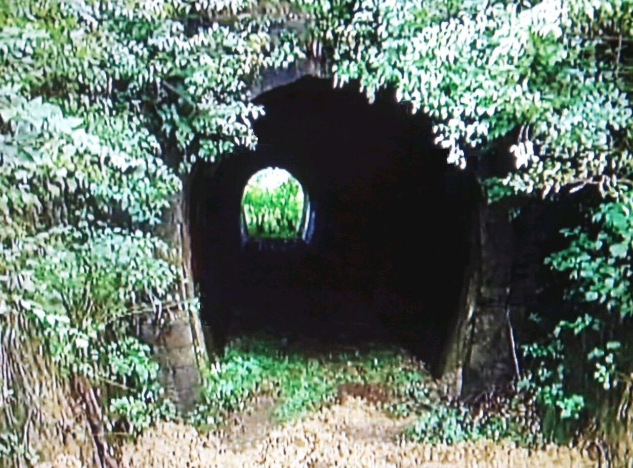 思い出のスナップ「 蒲原鉄道の足跡（3）」 ～加茂 - 村松間の廃線跡