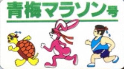 第16回_青梅マラソン号_HM