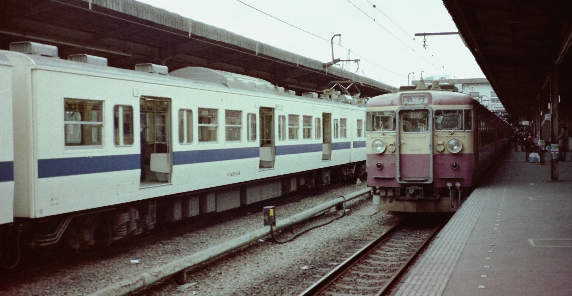 453系 急行「ときわ」号 ～形式の判断が難しい交直両用急行形電車