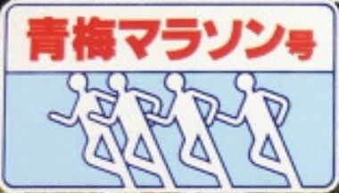 第15回_青梅マラソン号_HM