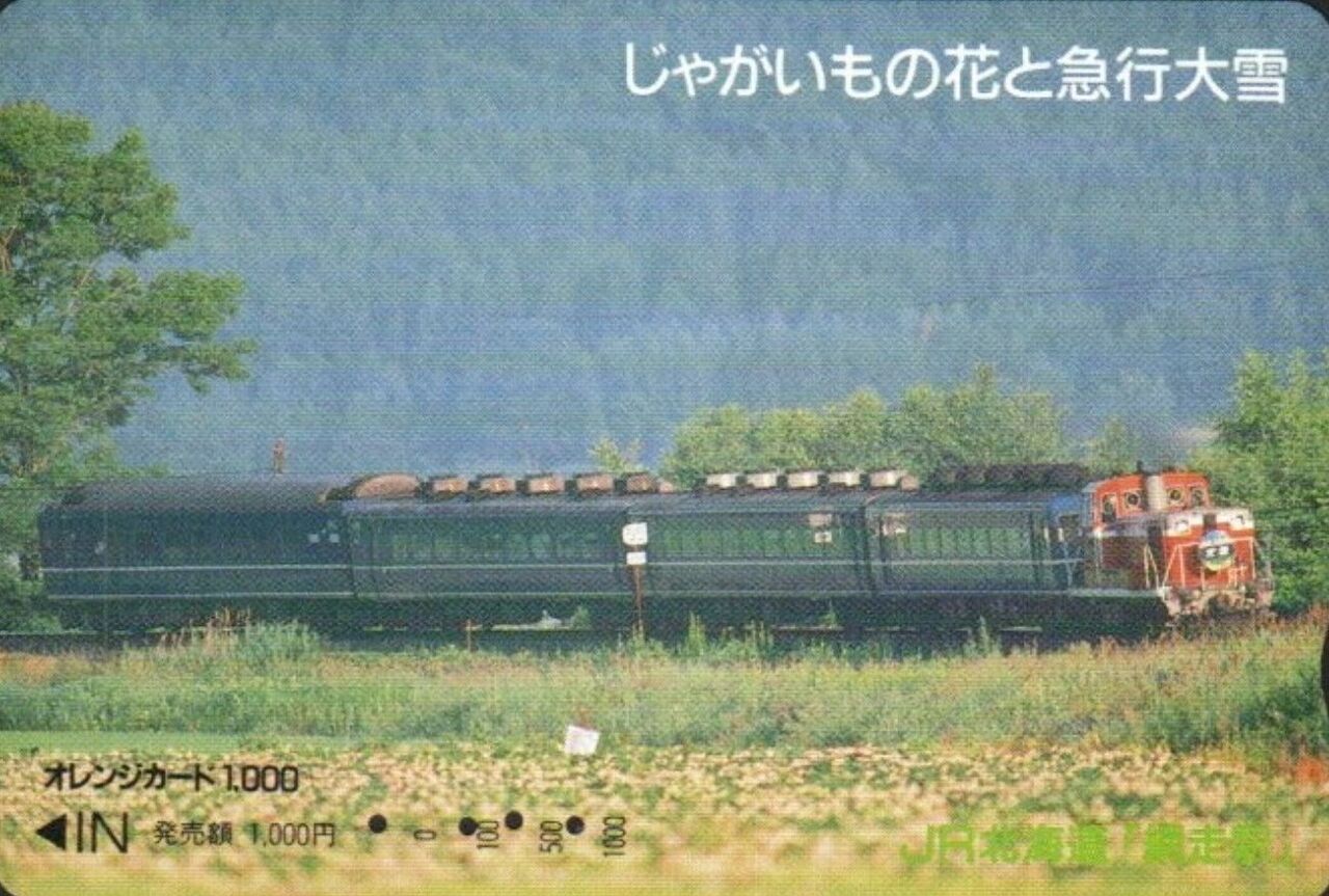 思い出のスナップ・急行「大雪」号 ～晩年期 と 最盛期の回想～ : 波浪 