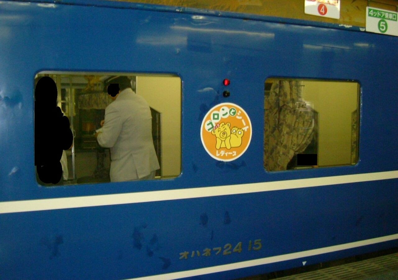スハレ　寝台列車？のカーテン✖️2点 開放式B寝台車の新たな活路となった「ゴロンとシート」～AIの学習