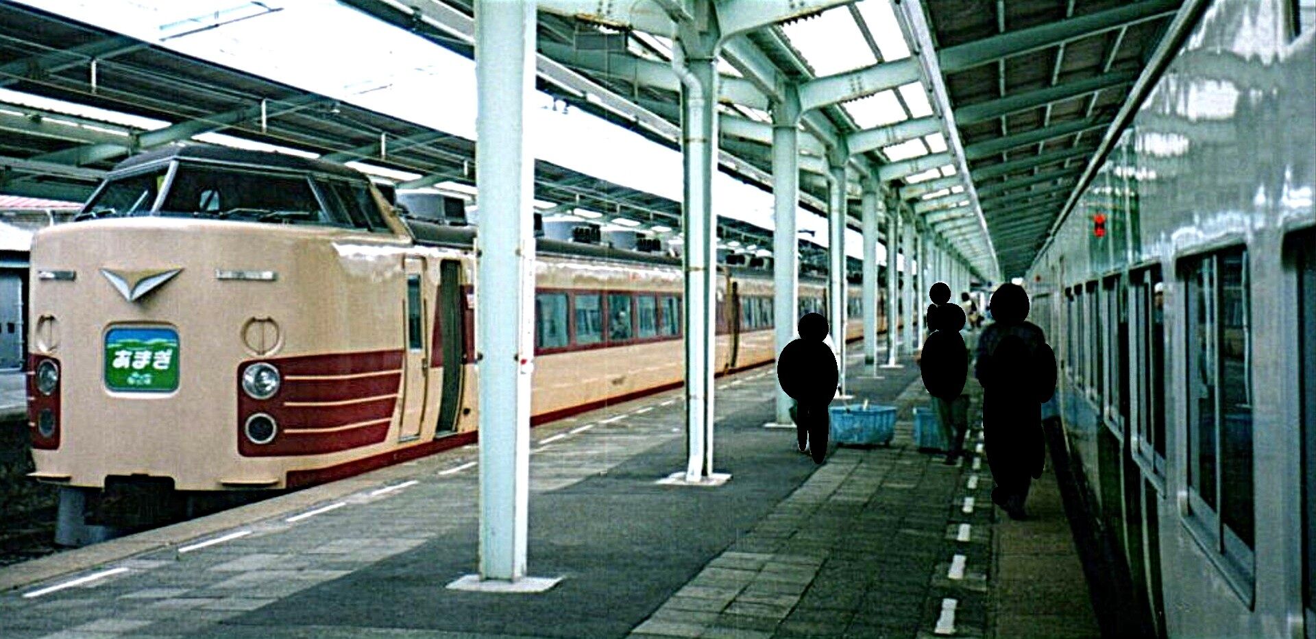 183系 臨時特急「あまぎ」号 ～踊り子と共存した GW臨～ : 波浪規定の部屋