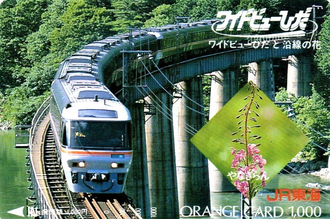 思い出のスナップ・キハ85系 特急「ワイドビューひだ