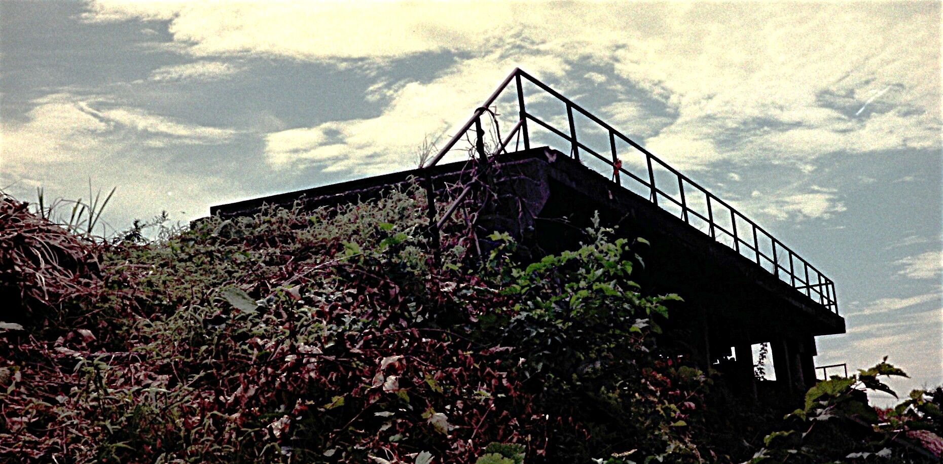 思い出のスナップ「 蒲原鉄道の足跡（2）」 ～加茂 - 村松間の廃線跡