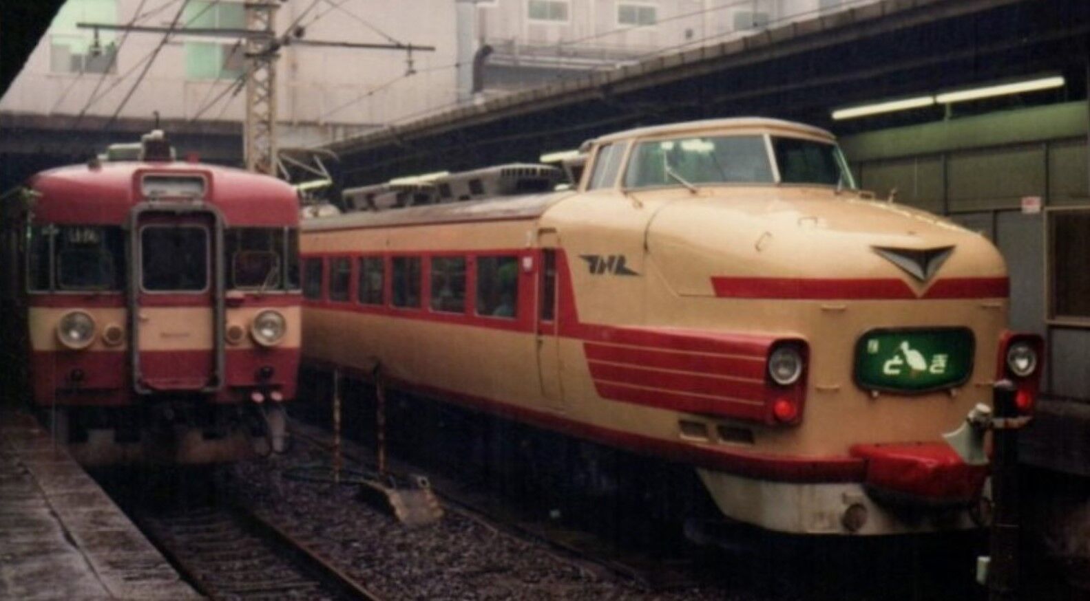 181系 とき 編成 | 新潟運転所 編成表 – OGEGK