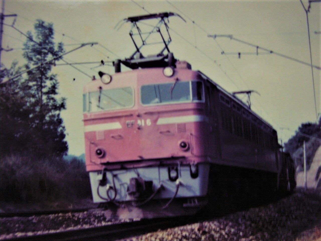 北陸で活躍した 電気機関車 ～ED70・EF70・ED30・EF81～ : 波浪