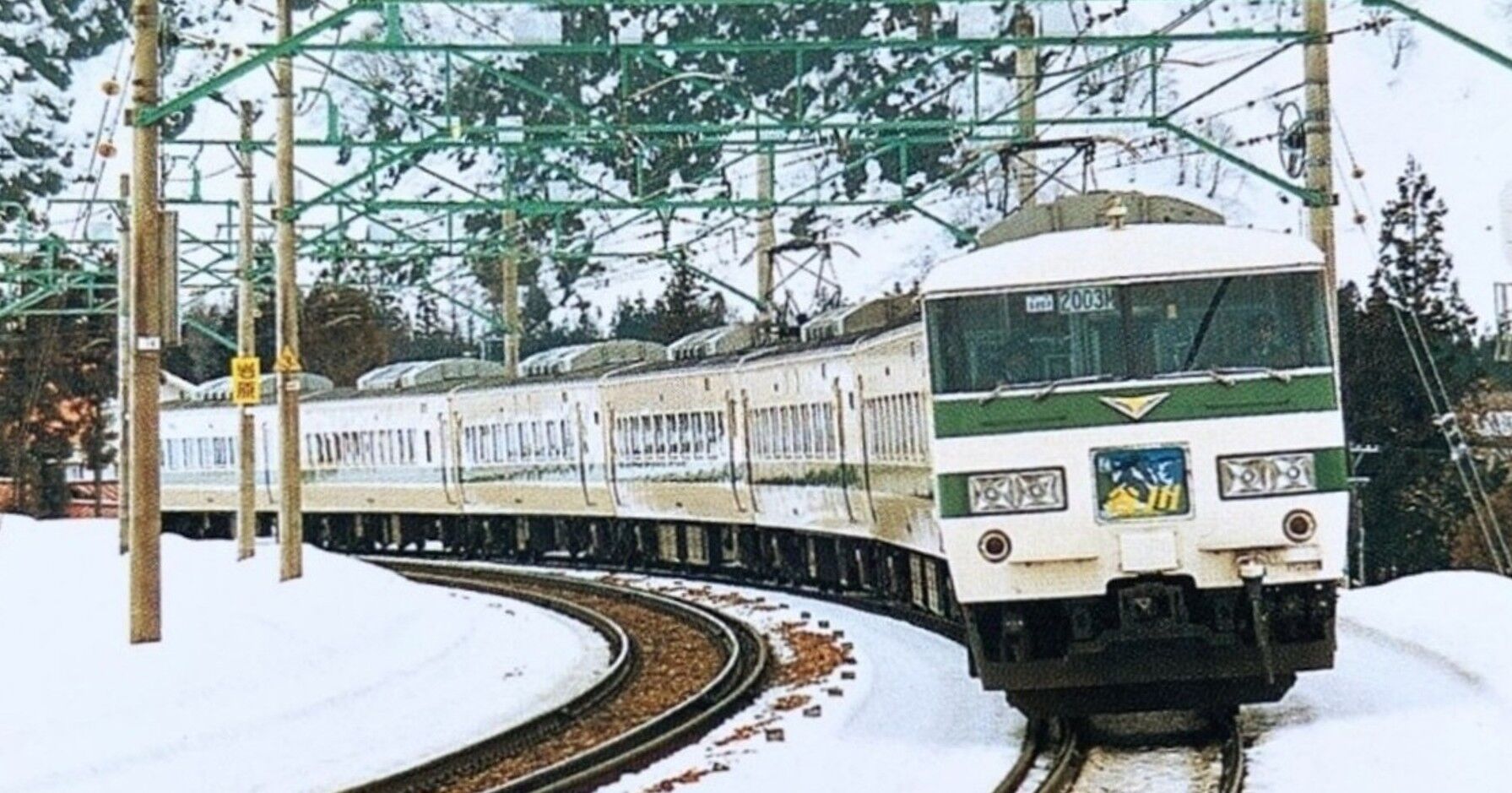 185系200番台・新特急「谷川」号（オリジナル塗装時代）～自身の名を