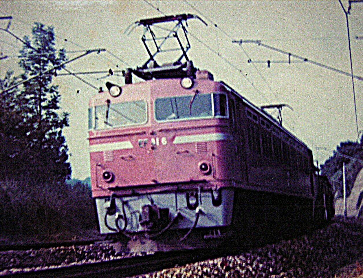 北陸で活躍した 電気機関車 ～ED70・EF70・ED30・EF81～ : 波浪規定の部屋