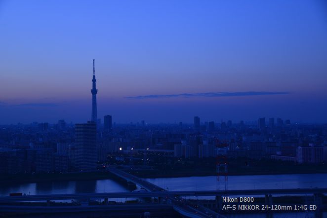 薄明かりの残る空に 今日は良いお日和で 薄明かりの残る空に 今日は良いお日和で