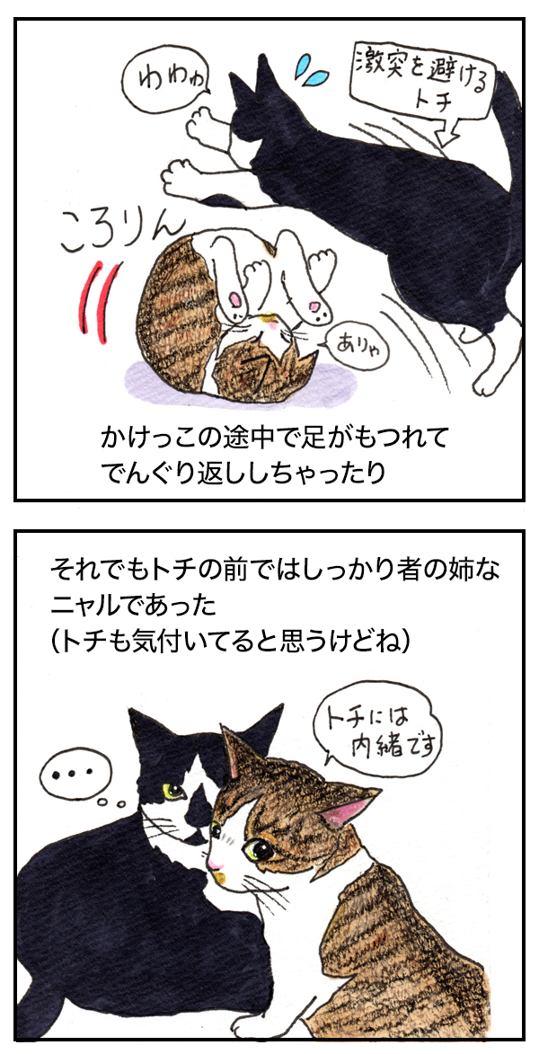 ニャルのひみつ : ニャルとトチと時々ターチャ