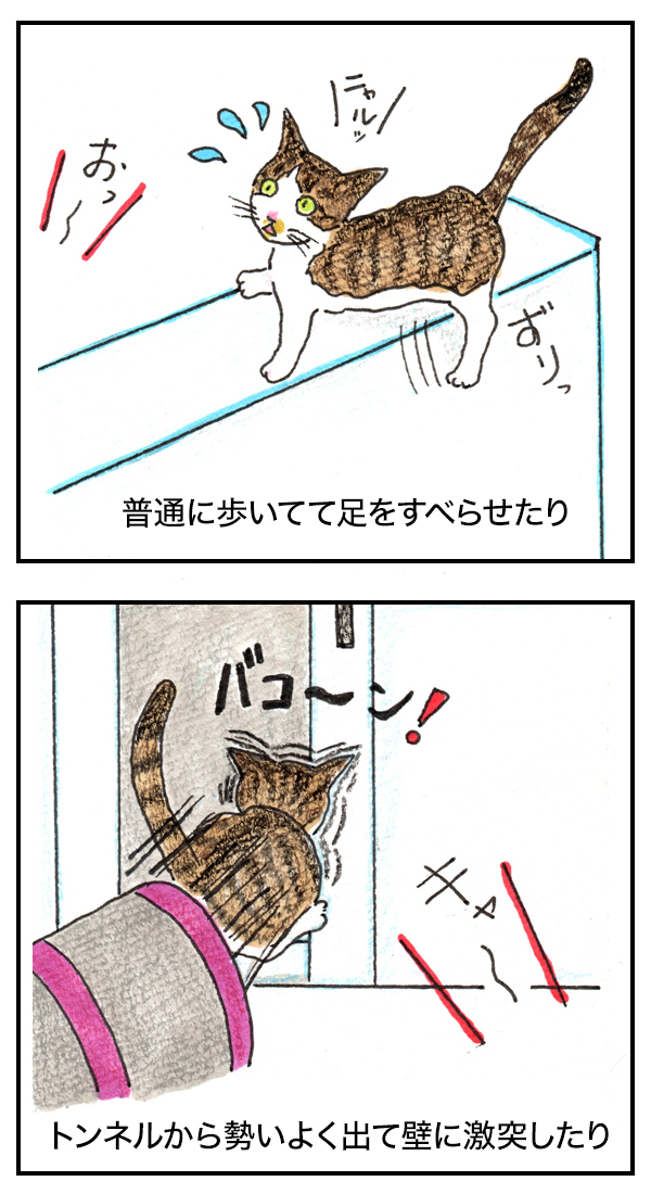 ニャルのひみつ : ニャルとトチと時々ターチャ