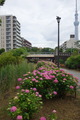 DSC05509