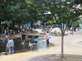 大横川2