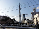 ½½´Ö¶¶