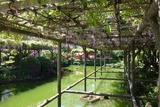 DSC04933