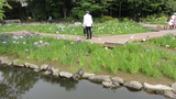 かめ