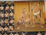 琴欧州千代大海