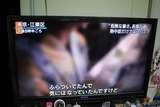 江東花火2