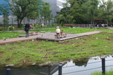 あやめ池