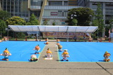 ライチ種飛ばし